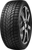 Delinte WD6 195/45 R16 84 H